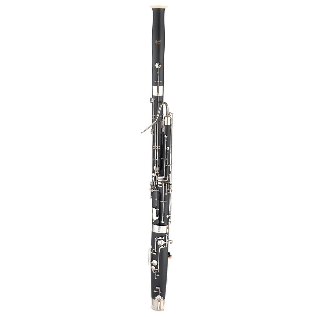 Bassoon
