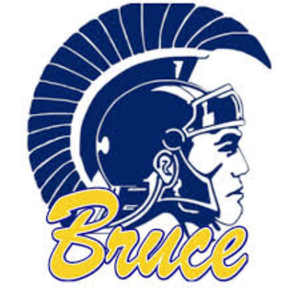 Bruce High