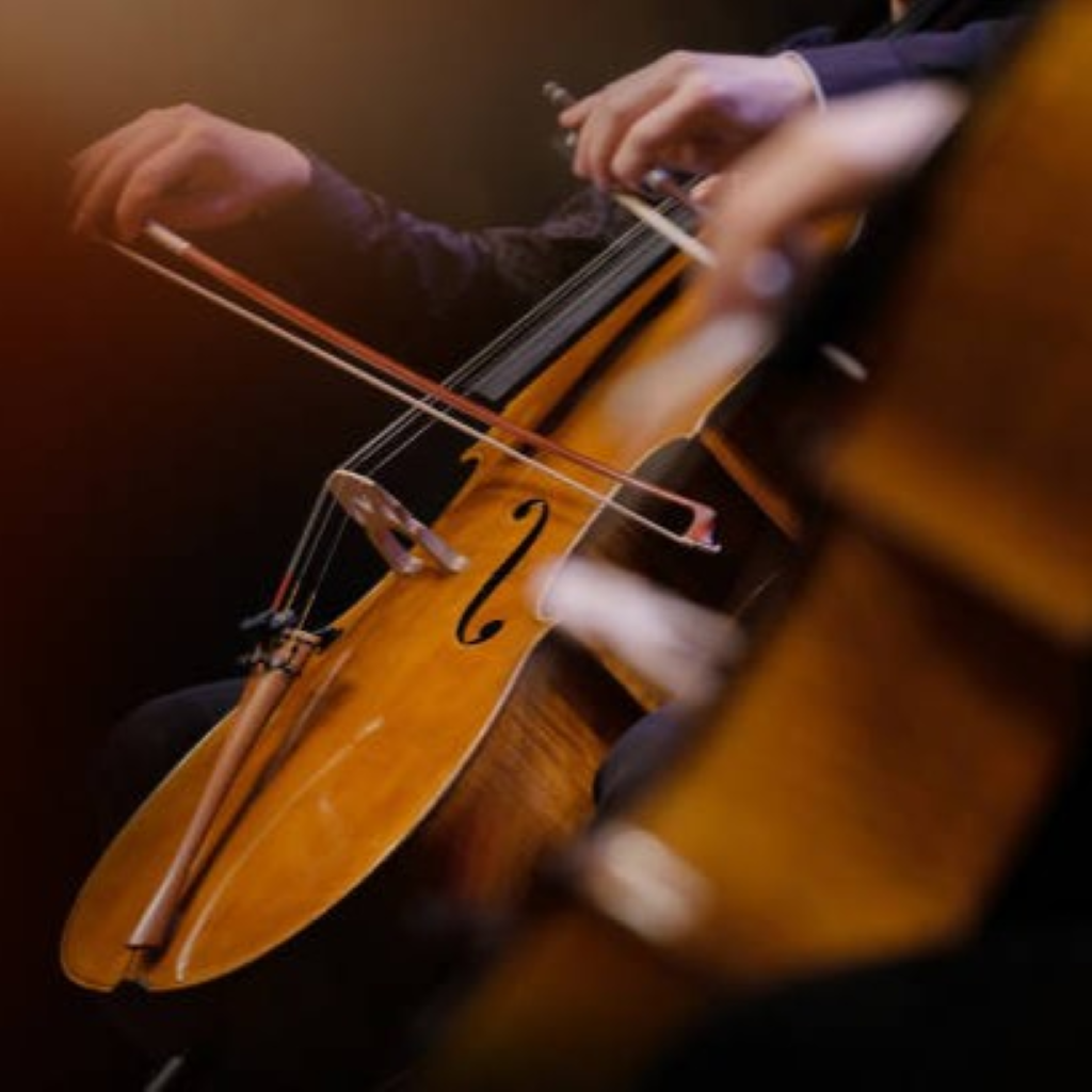Orchestra